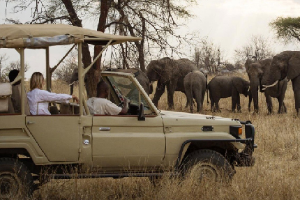 5-days-tanzania-camping-safari