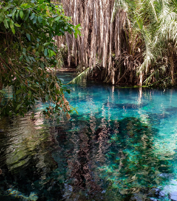 kikuletwa-hot-spring-day-tour