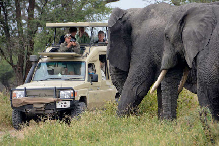 5-days-tanzania-camping-safari